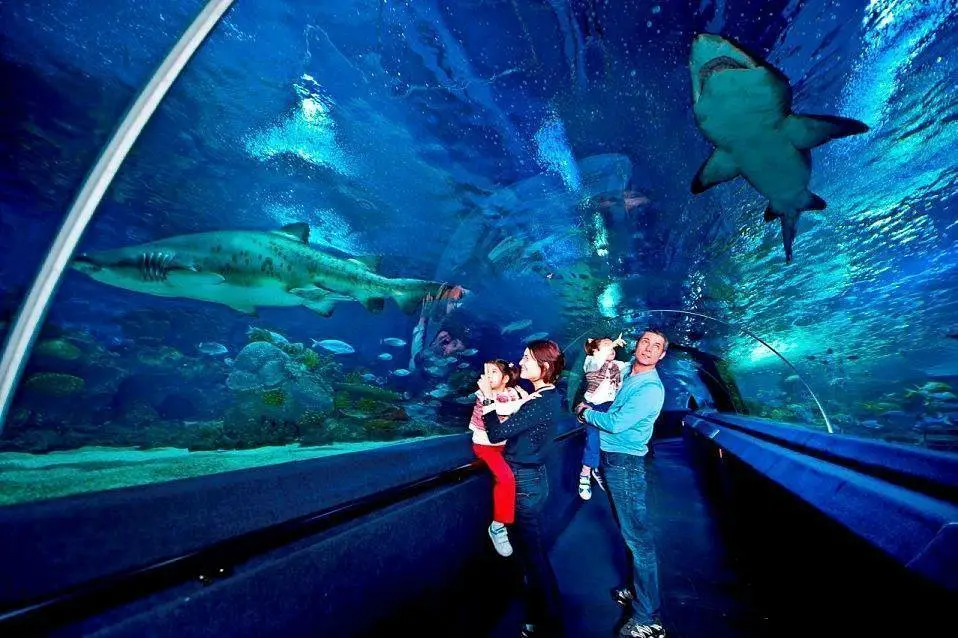 Forum Istanbul Shopping mall aquarium