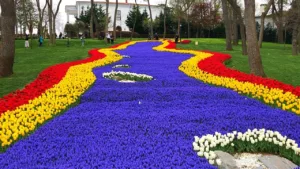 Istanbul tulip festival
